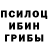 Псилоцибиновые грибы мицелий Shahinaz Ismail
