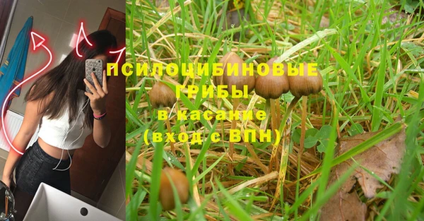 дурь Михайловка