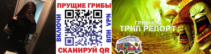 Псилоцибиновые грибы мухоморы Туринск